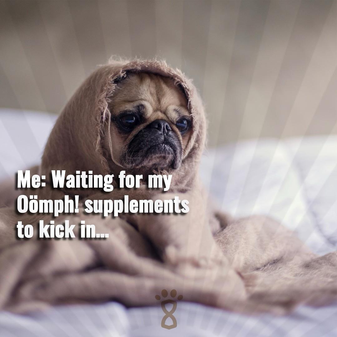 Waiting for my Oömph! supplements to kick in