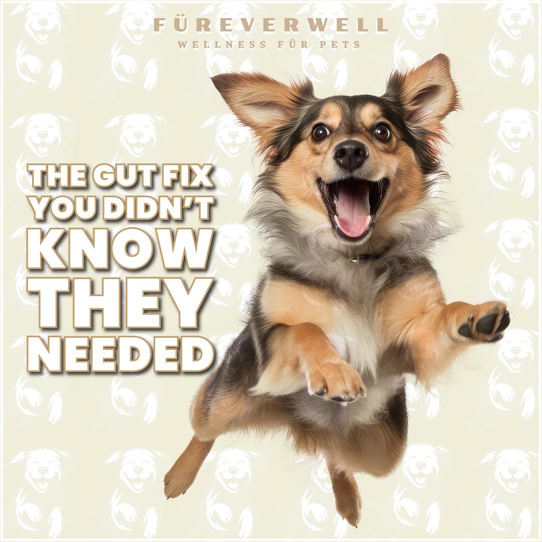 The gut fix you didn't know they needed
